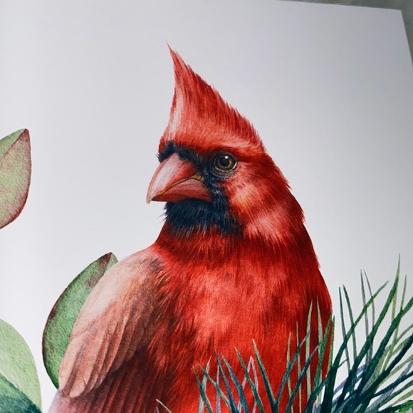 Set of Five Elegant Cardinal Greeting Cards Postcard Style & Luxury Envelopes - Picture 3 of 7
